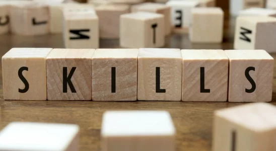 Essential Skills Every IT Professional Needs to Succeed