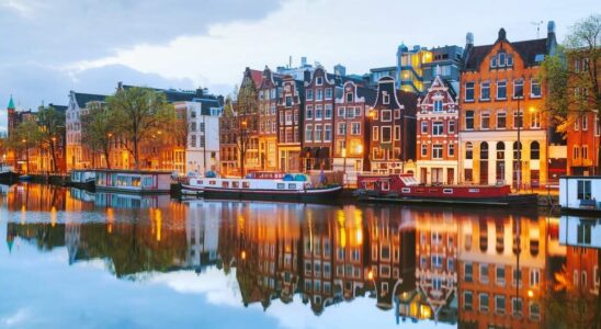 Finding the Best Real Estate Agent in Rotterdam