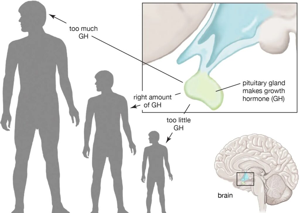 extensive review on the topic