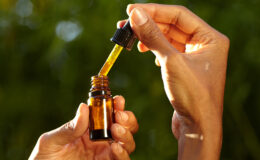 organic cbd oil