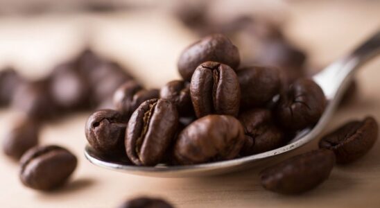 Sidamo coffee beans