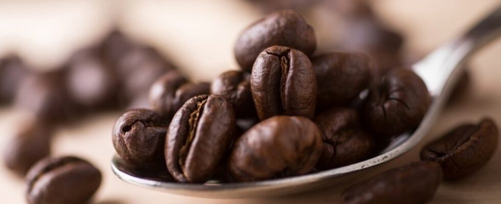 Sidamo coffee beans