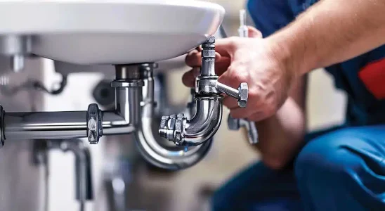 Ignoring Plumbing Issues